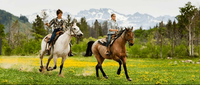 Confident plus-size woman riding Sussex a horse through a field with a smile on her face.